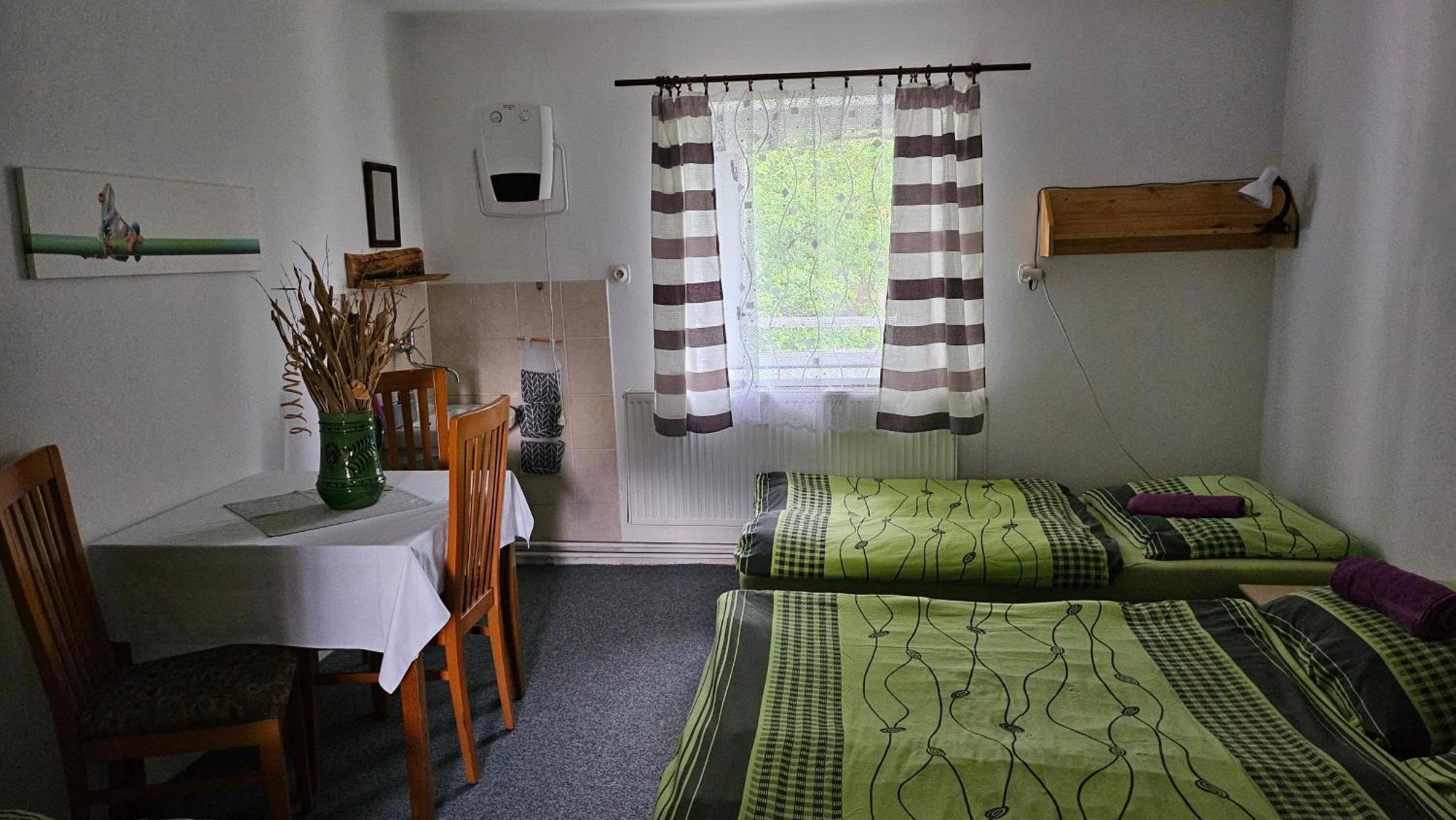 Penzion Tomy Pihlov Horní Planá Bagian luar foto
